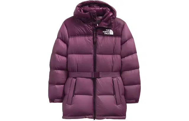 THE NORTH FACE Logo