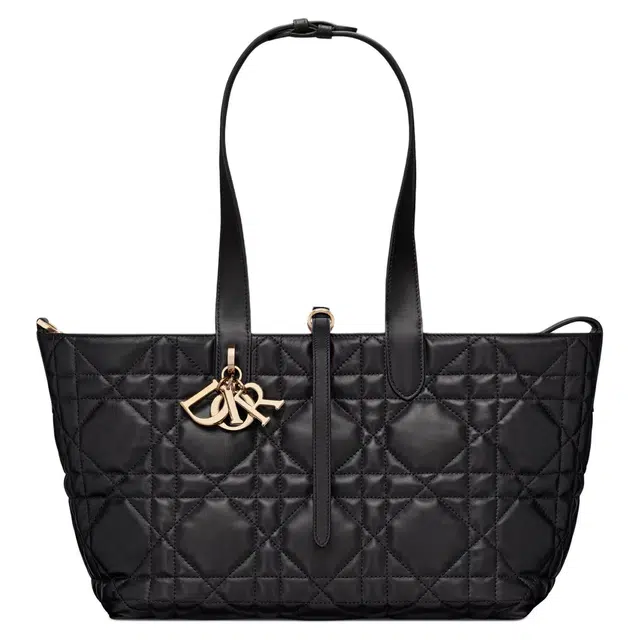 DIOR Toujours