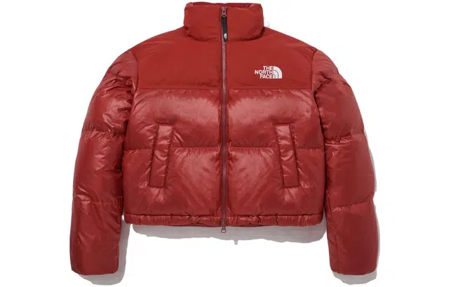 The North Face Novelty Nuptse Down Jacket