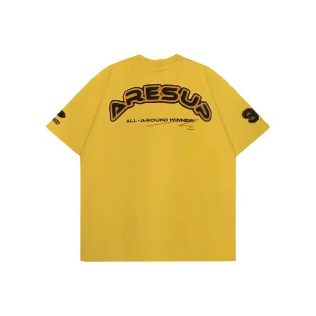 PAINT STAIN T