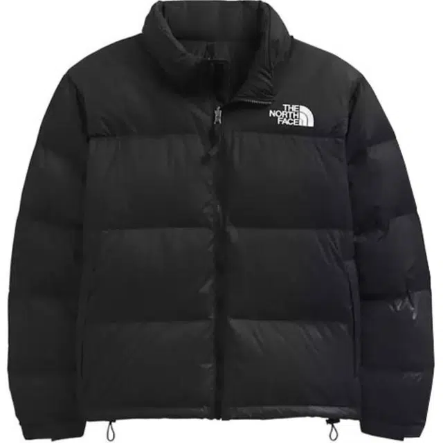 THE NORTH FACE 1996Plus 1996NuptseLogo