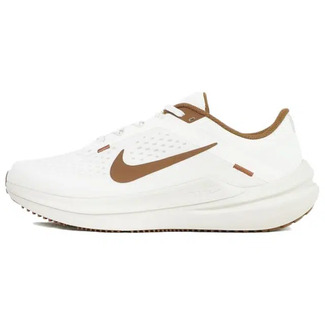 Nike Air Winflo 10
