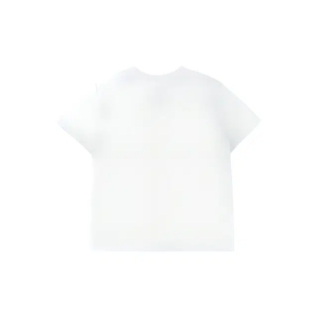 UNDERTIDES T