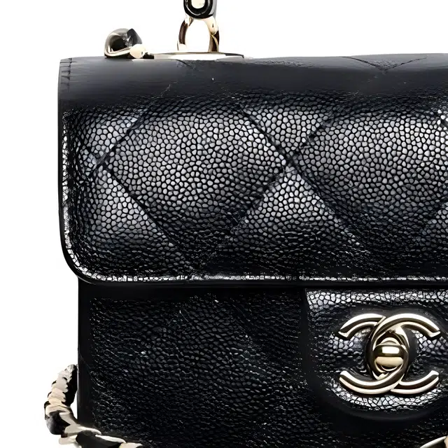 CHANEL 25S