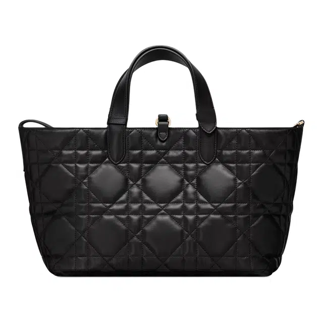 DIOR Toujours