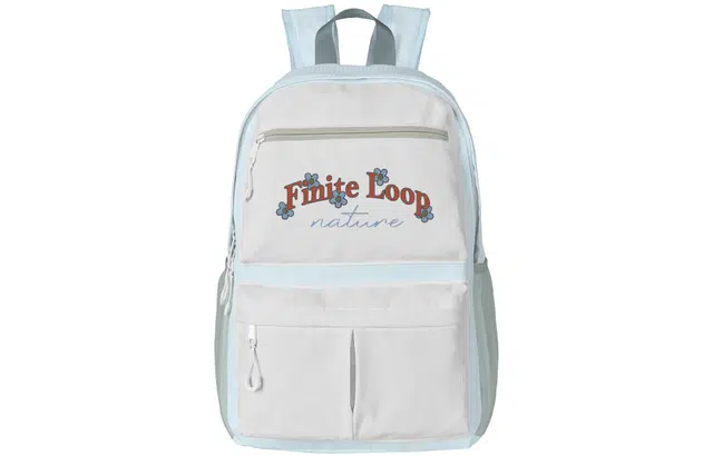 FINITE LOOP