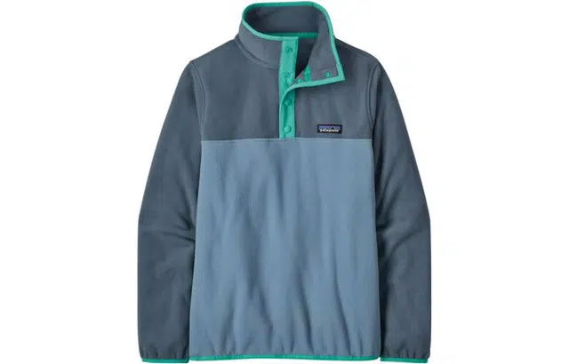 Patagonia W's Micro D Snap-T Pullover