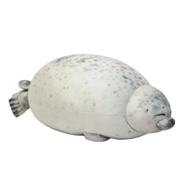 20cm40cm60cm80cm100cm