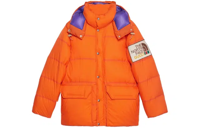 GUCCI x THE NORTH FACE