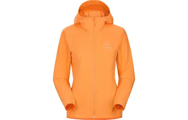 Arcteryx GAMMA SL Hoody Homen's Logo