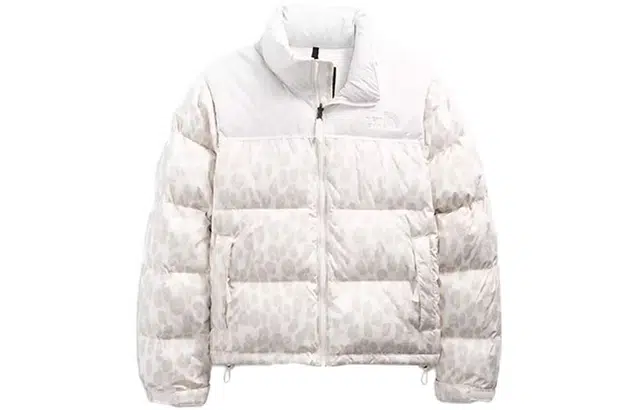 The North Face 1996 Retro Nuptse 700