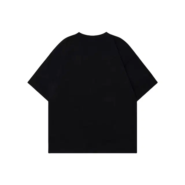 WELTER EXPERIMENT T