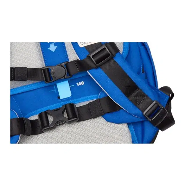 DESCENTE