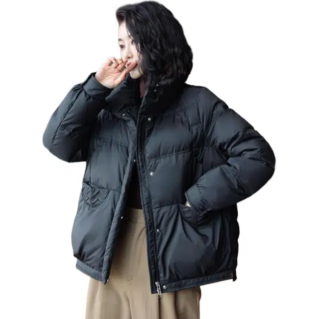 鸭鸭 立领无弹宽松拉链长袖保暖羽绒服 女款