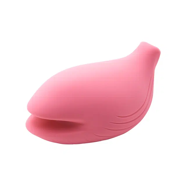 iroha plus+
