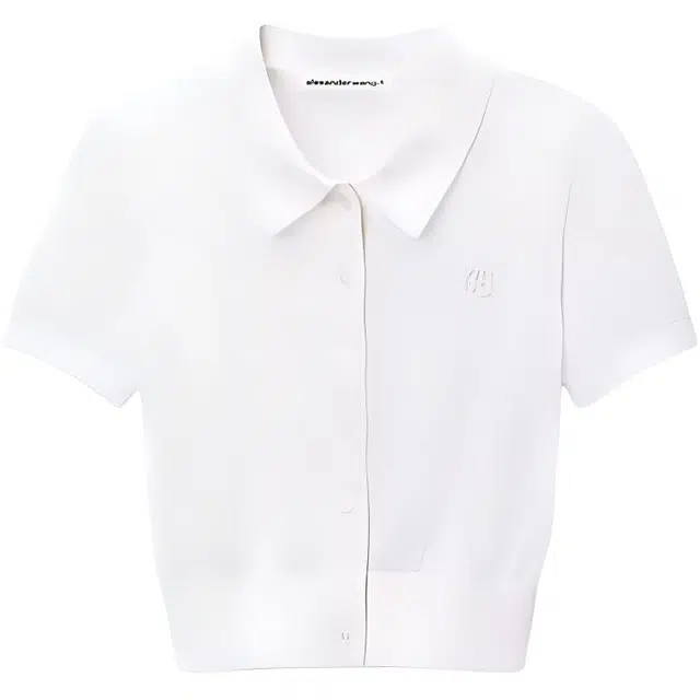 alexander wang FW24 Polo