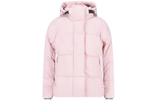 Canada Goose Junction