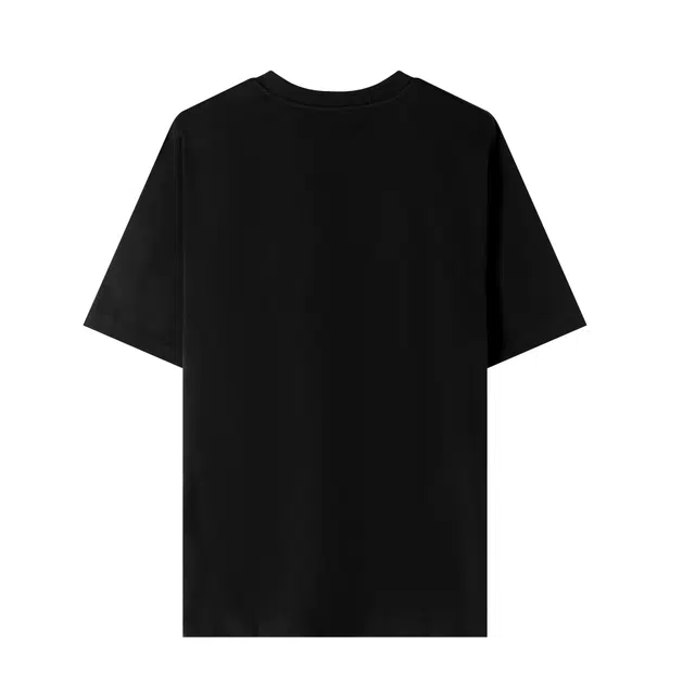 BASIC HOUSE T