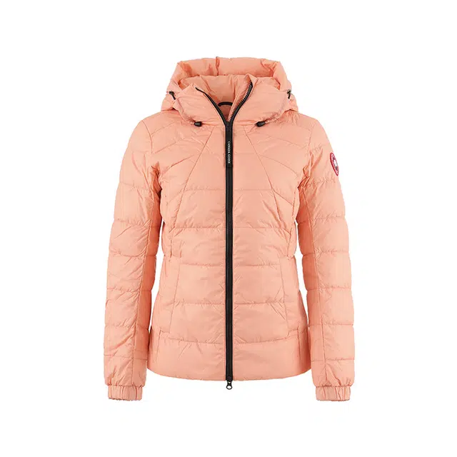 Canada Goose