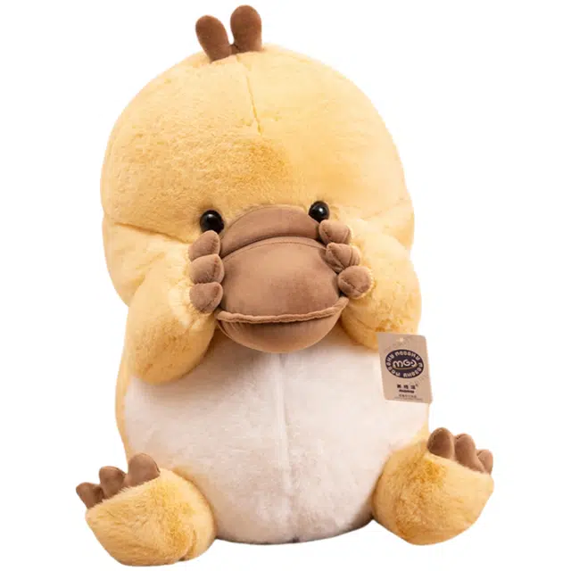 21cm30cm45cm60cm80cm 80cm