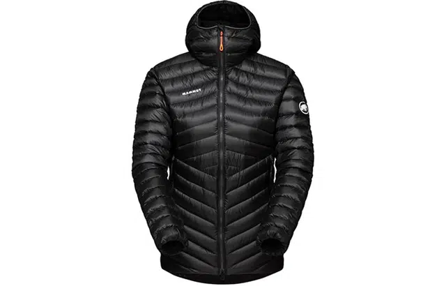MAMMUT Broad
