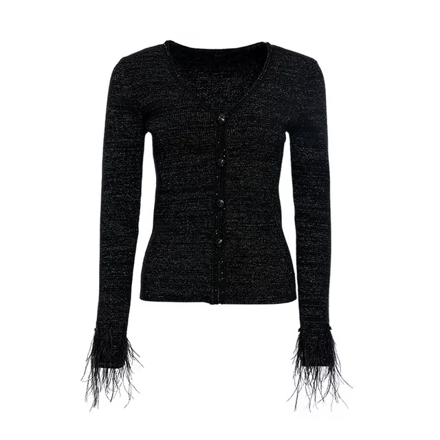 BESIONIA FW24 V