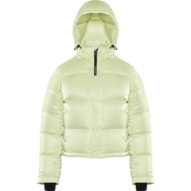 ARITZIA Super Puff Liquid Shine Shorty 4