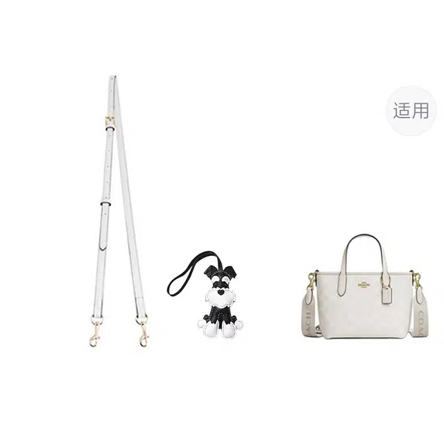 coachcity15mini