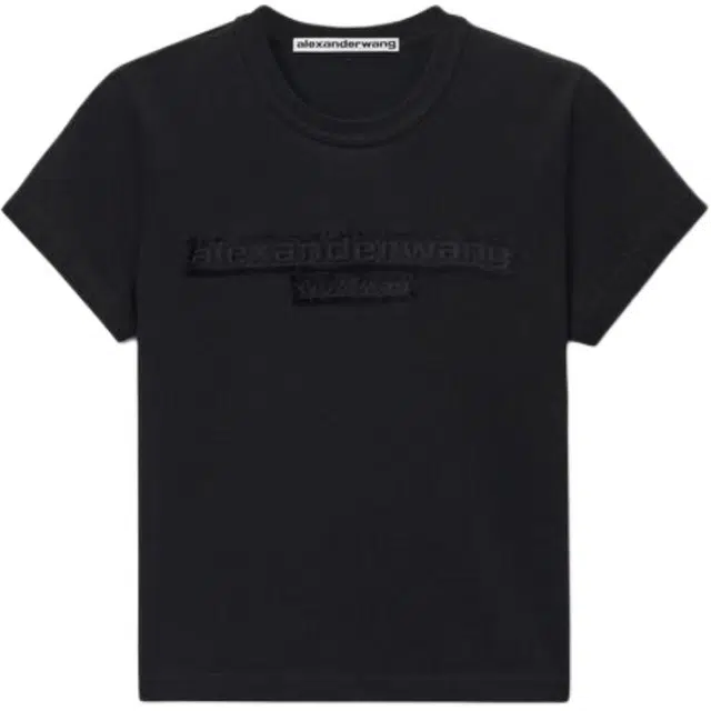 alexander wang FW24 T