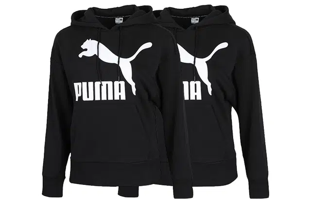 PUMA Classics Logo Hoody Regul Logo 2