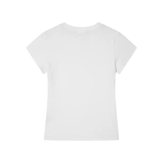 COUNTRY MOMENT 260G T