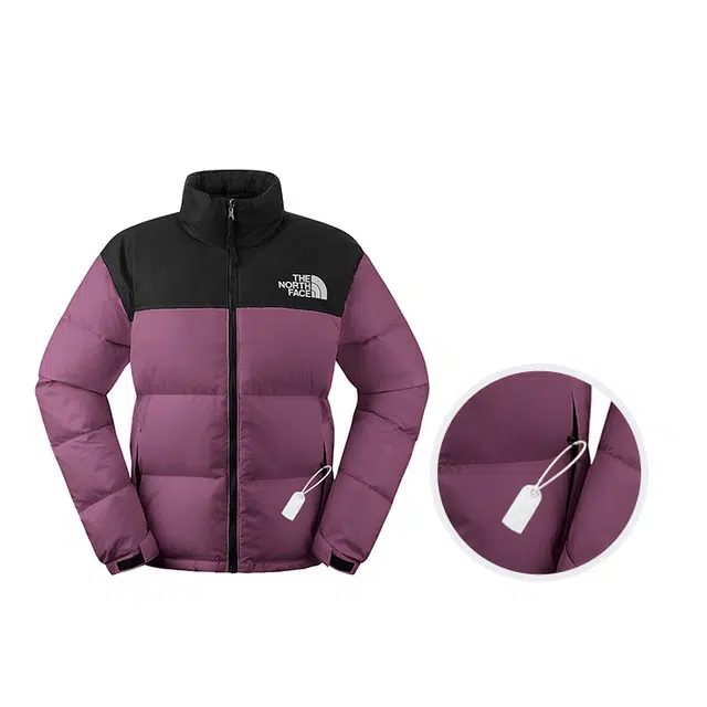 THE NORTH FACE 1996 FW24 logo