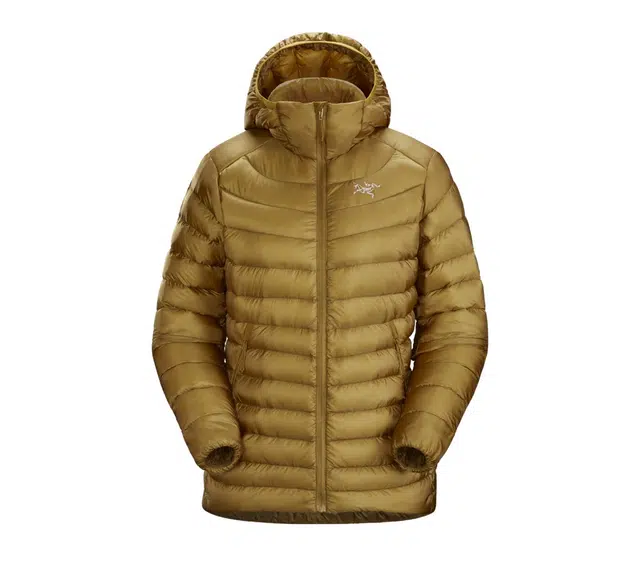 Arcteryx CERIUM lt hoody Logo