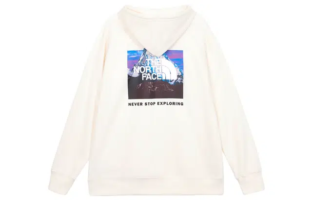 THE NORTH FACE W BOX NSE PO HDIE Logo
