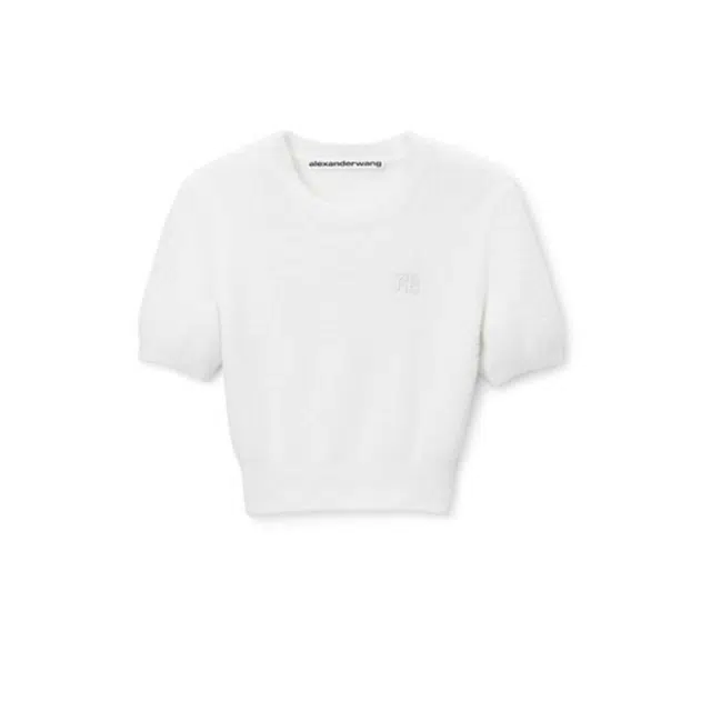 alexander wang FW24T