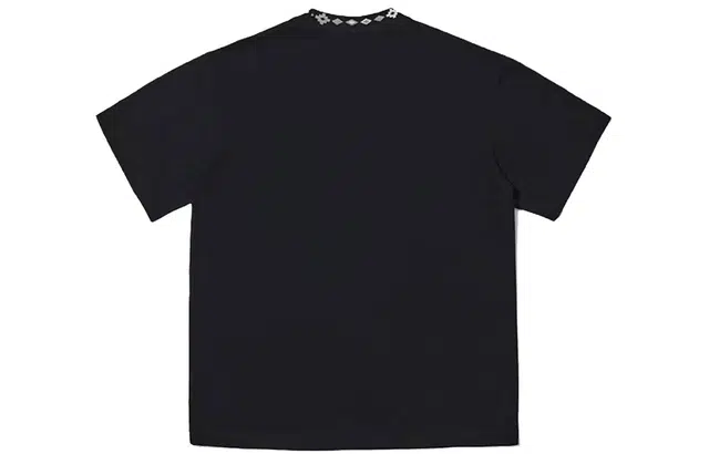 PAINT STAIN T