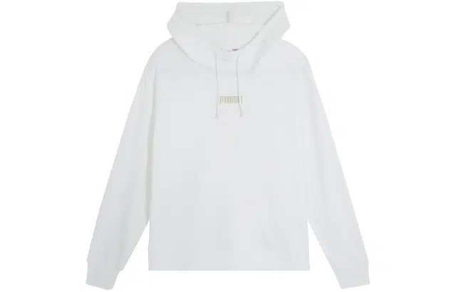 PUMA BASICS HOODIE