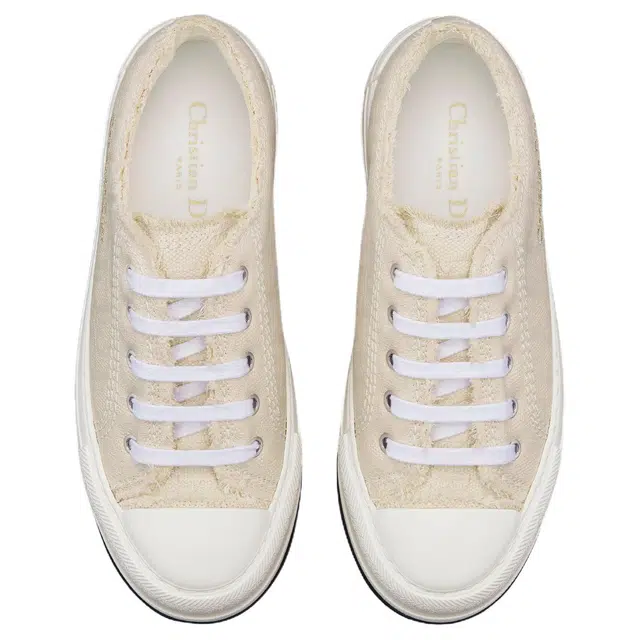 DIOR Walk'n'Dior Oblique