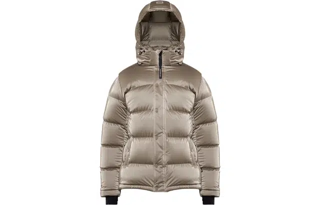 ARITZIA Super Puff Liquid Shine 5