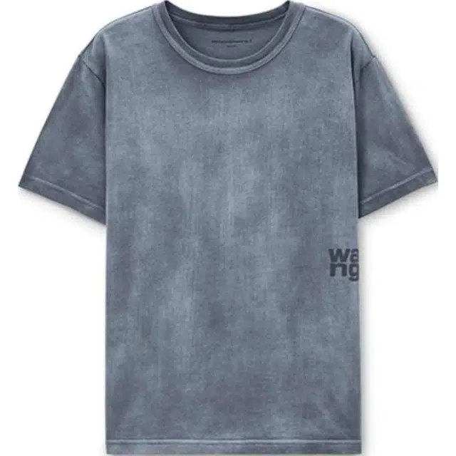 alexander wang FW24T