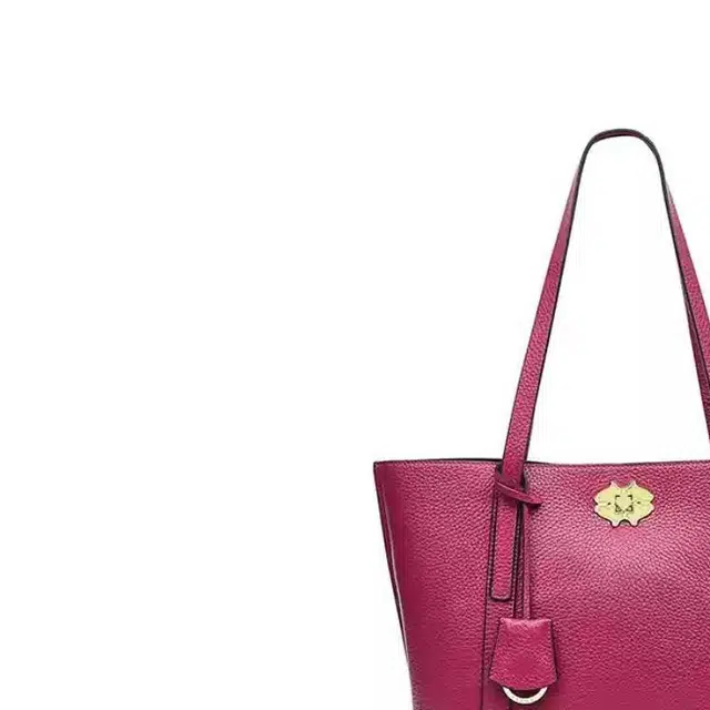 RADLEY Tote