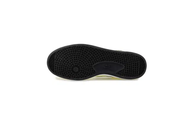 Nike SB Alleyoop