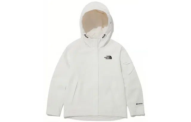 THE NORTH FACE Gore-tex Logo