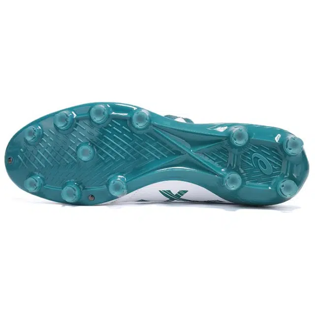 Asics DS LIGHT X-FLY 5 HG