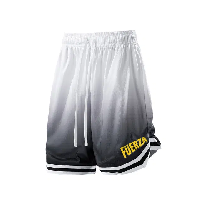 FUERZA 2