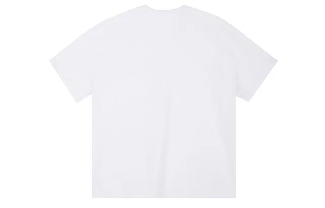 ICONS Lab ICS T