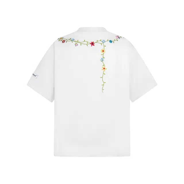 CMPG T