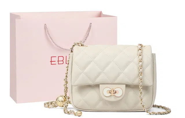 EBLAN ins