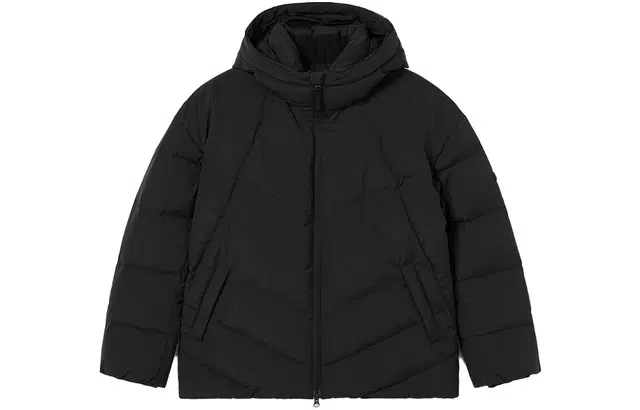 LACOSTE FW23
