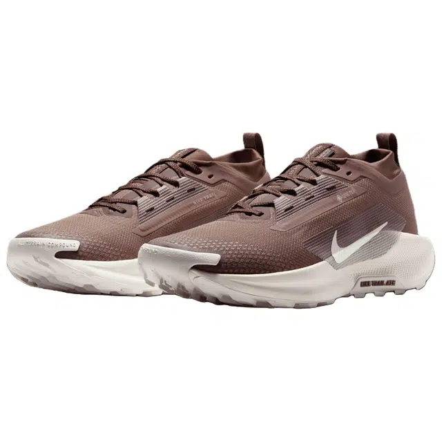 Nike Pegasus Trail 5 GORE-TEX